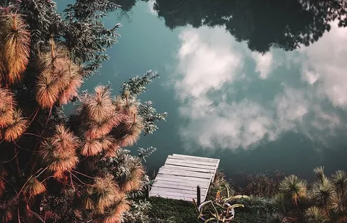 湖中树木的倒影 湖中树木的倒影