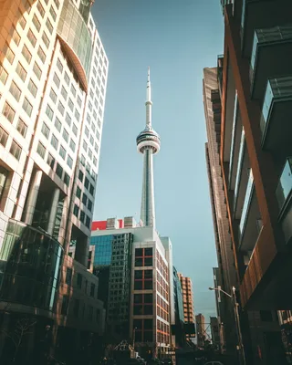 加拿大，加拿大电视塔，多伦多，多伦多天际线，多伦多市中心，高清壁纸，建筑外观，建筑结构