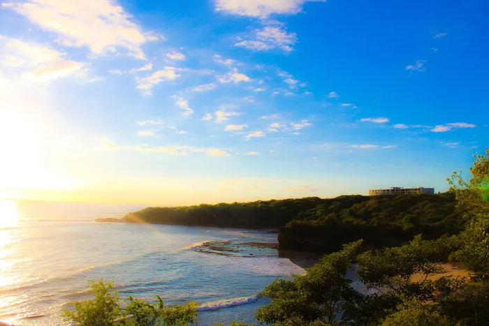 多米尼加*，多米尼加，树木，海洋，摄影，海洋摄影，景观，风景摄影