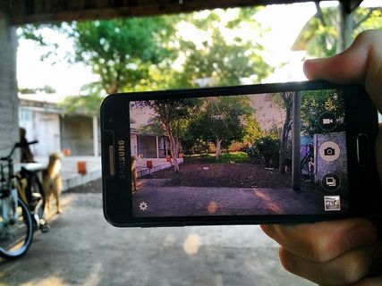 巴西、乌拉圭、iphone、树木、森林、手机、太阳、未聚焦