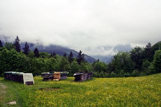 上巴伐利亚州，reit im winkl，高山远足，植物，树木，山脉，草地，自然