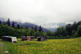 上巴伐利亚州，reit im winkl，高山远足，植物，树木，山脉，草地，自然