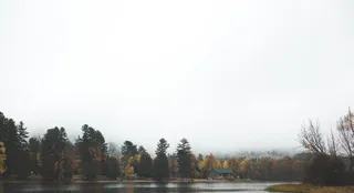 风景照片, 河, 绿色, 树, 旁边, 草坪, 植物, 自然