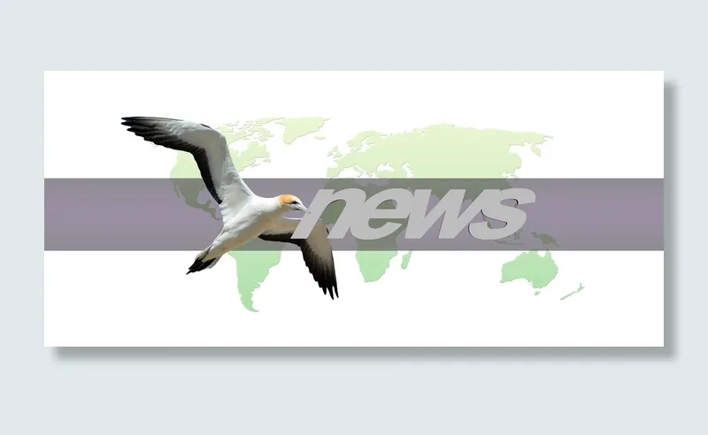 新闻文本、大陆、地球、鸟类、地球、世界、新闻、出版社