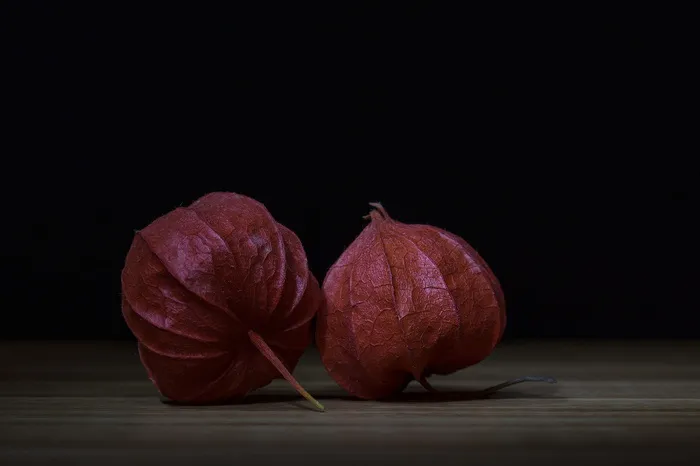 植物，叶子，观赏植物，中国灯笼