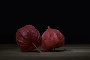 植物，叶子，观赏植物，中国灯笼