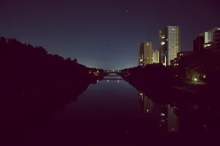 树木和建筑物之间的水体