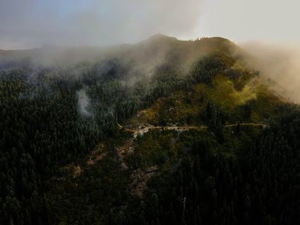 白天拍摄的绿树山