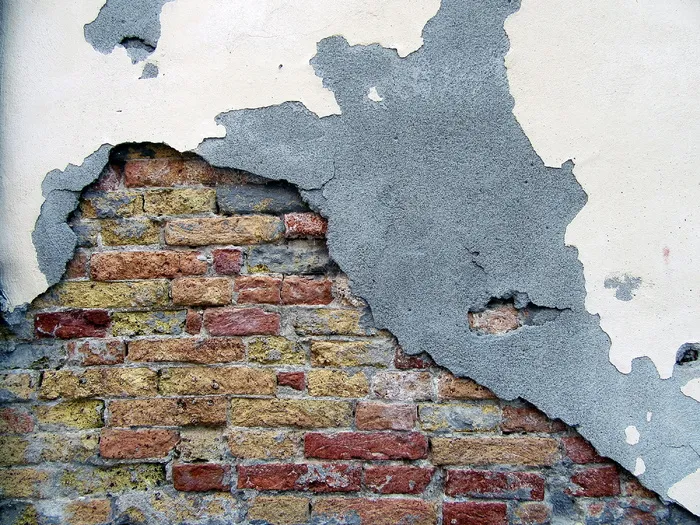 红砖墙，砖，墙，地毯，绘画，艺术，植物，路径