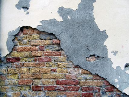 红砖墙，砖，墙，地毯，绘画，艺术，植物，路径