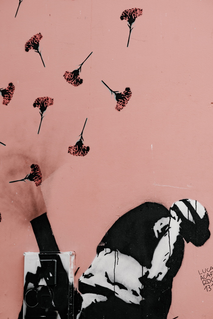 佳能，康乃馨，罂粟，里斯本，纹理，华尔街，街头艺术，没有人