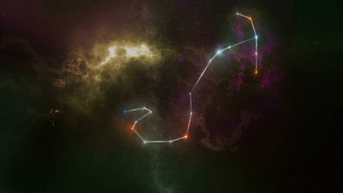 十二生肖，占星术，插图，占星术，标志，符号，恒星，收藏