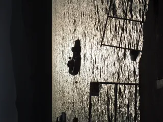 运输、船艇、船只、车辆、船只、水、气垫船、人力