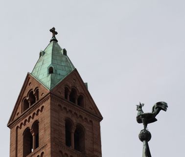 dom、speyer、kaiser dom、hahn、weather vane、architecture、sky、tower