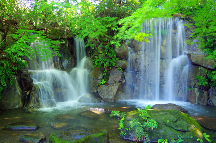 风景照片，瀑布，水，山谷，绿色，山，风景，森林