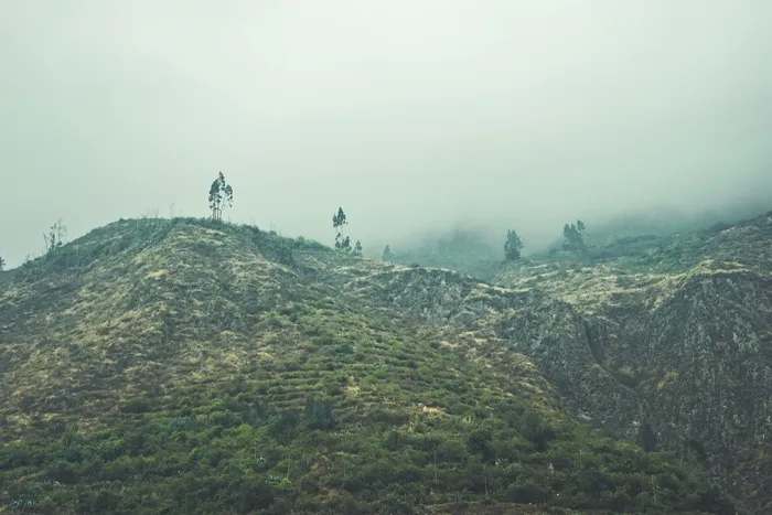 斜坡、户外、植物、天气、乡村、探险、休闲活动、植被