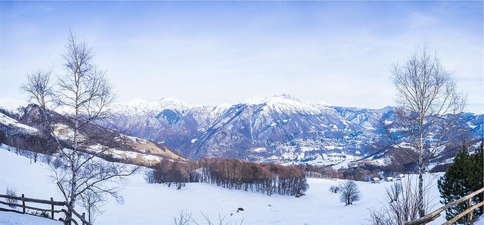 山景、雪、覆盖、树木、山脉、白天、景观、山脉