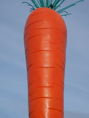 Carrot、Le Roi Carotte、Rosalie、red、madaris、ostfildern、esslingen、scharnhauser park