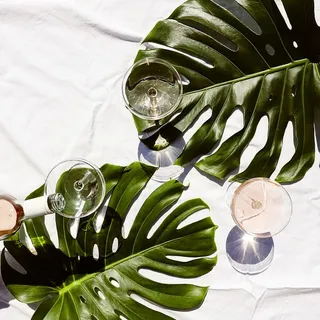 采购产品叶子，植物，玻璃，高脚杯，陶器，衣服，头盔，衣服