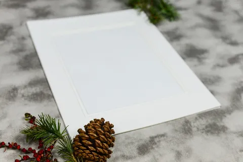 树，植物，针叶树，水果，菠萝，食物，冷杉，冷杉