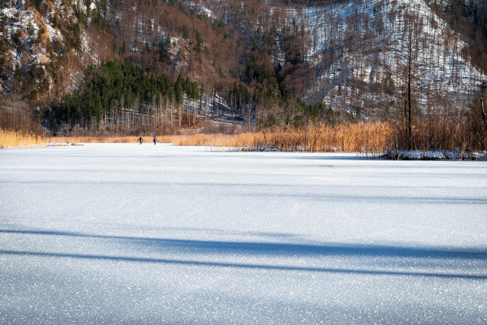冬天，雪，树，自然，寒冷，风景，冰冻，冰