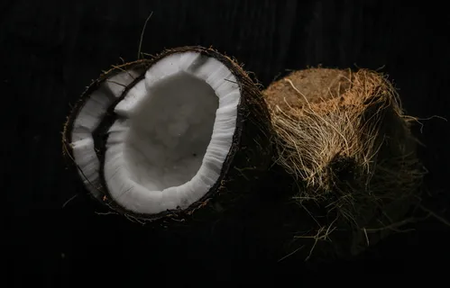 打开的椰子 打开的椰子