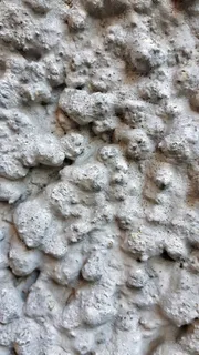 墙、颜色、纹理、油漆、框架、艺术、历史、白色 墙、颜色、纹理、油漆、框架、艺术、历史、白色