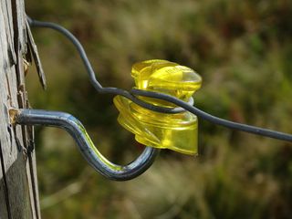 绝缘子，Cow，围栏，电线，Cow围栏，Cow电线，围栏，隔离