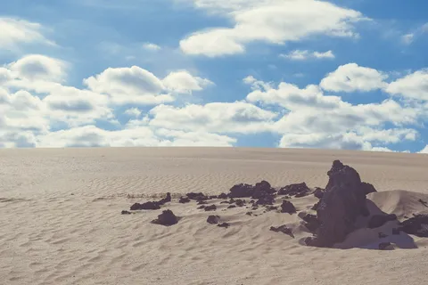 土壤、沙子、自然、户外、沙丘、沙漠、模式、智能