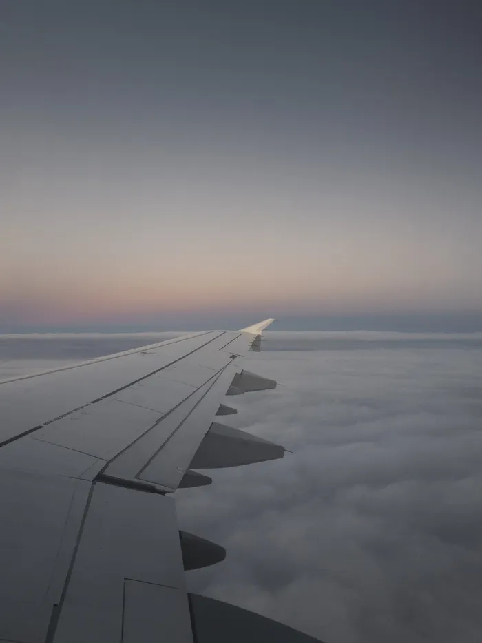 左翼飞机窗口照片