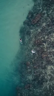 两个人在海里游泳 两个人在海里游泳
