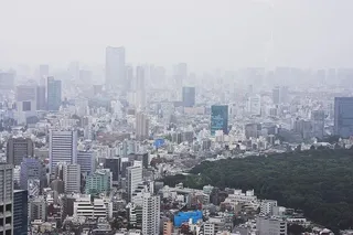 城市，东京，建筑，景观，大城市，日本，树木，城市景观