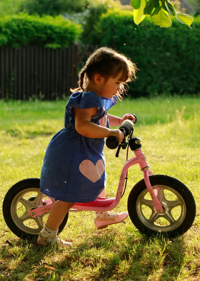 kinde，自行车，太阳，童年，全长，自行车，儿童，植物