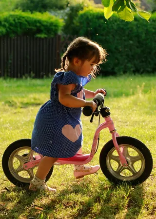 kinde，自行车，太阳，童年，全长，自行车，儿童，植物