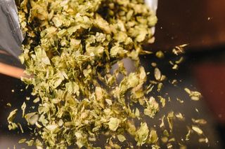 包叶子, 叶, 叶子, 野生动物, 倒, 自然, 户外, 溢出