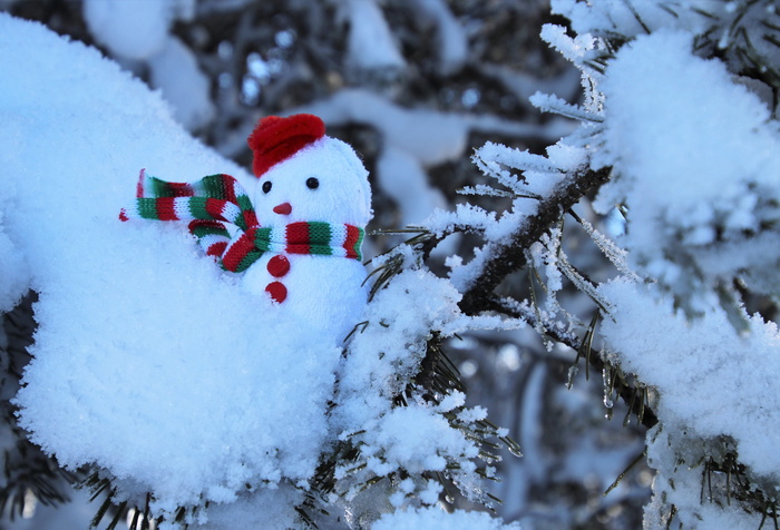 雪，霜，围巾，雪人，寒冷的温度，冬天，人类的表现，白色