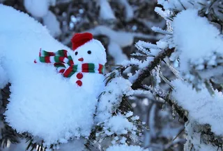 雪，霜，围巾，雪人，寒冷的温度，冬天，人类的表现，白色