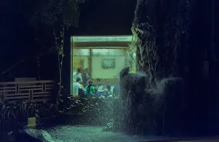 香港，南莲园，花园，风水，瀑布，窗，植物，树