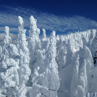 美国，本德，单身汉山，山，树，雪，我的单身汉，滑雪