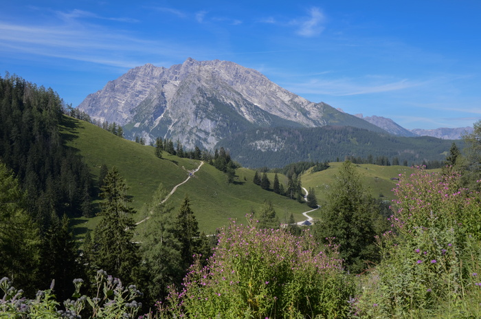Watzmann，Mountain，Alpine，berchtesgadener land，massif，berchtesgaden alps，景观，自然