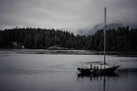 海,湖,船,船,帆船,森林,加拿大,荒野 海,湖,船,船,帆船,森林,加拿大,荒野