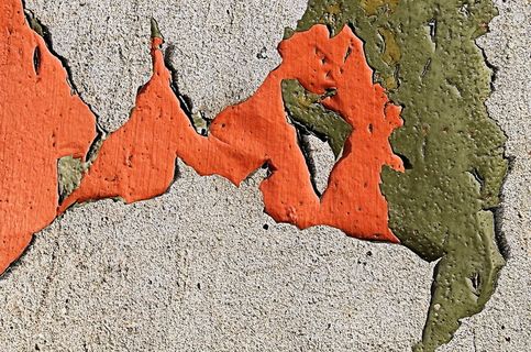 树叶、植物、洞、岩石、砖、地面、铁锈、木头