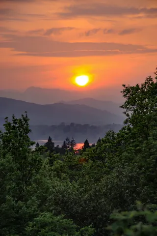 山前水体附近的森林照片