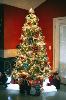 圣诞节，圣诞树，圣诞树，装饰品，装饰品，冬天，五颜六色