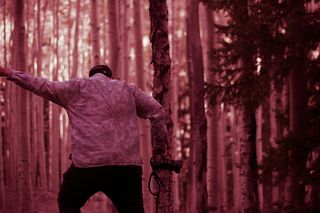 flagstaff，美国，亚利桑那州lockett meadow露营地，cmyk，视觉艺术，阿斯彭，森林