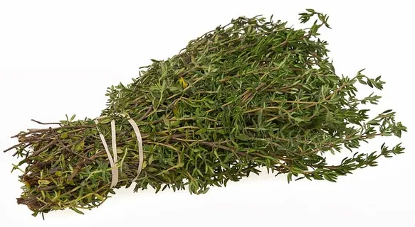 绿色、叶子、植物、白色、表面、蔬菜、维生素、饮食 绿色、叶子、植物、白色、表面、蔬菜、维生素、饮食