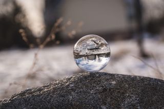 雪，森林，树木，玻璃，镜头球，反射，诺卡尔，加利福尼亚