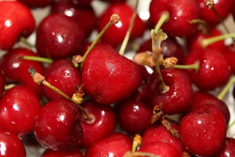 教堂、水果、收获、食物、维生素、感恩节、祭祀、装饰