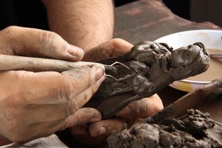 magela borbagatto、tadeu gomes、tadeu、gomes、斑马鱼、mav、jacarei、figure