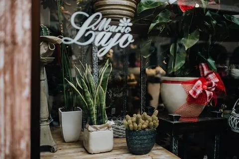 意大利威尼斯城堡花店 意大利威尼斯城堡花店